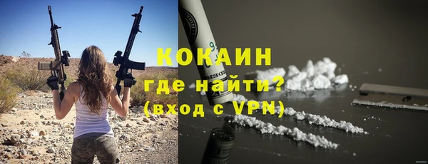хмурый Арсеньев