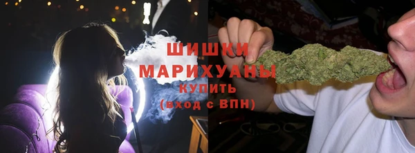 хмурый Арсеньев