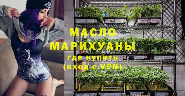 хмурый Арсеньев