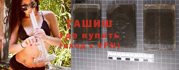 хмурый Арсеньев