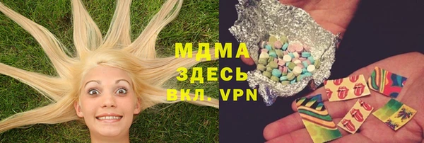 хмурый Арсеньев